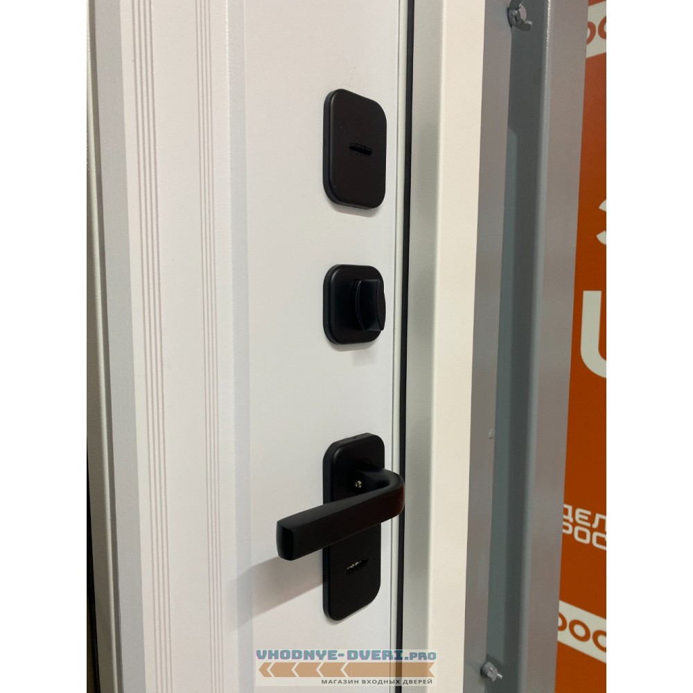 Дверь Бульдорс TERMO PREMIUM 3